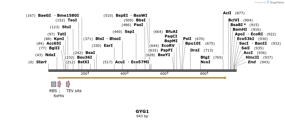 51856_map