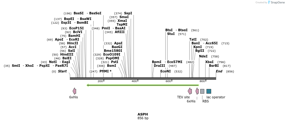 51861_map