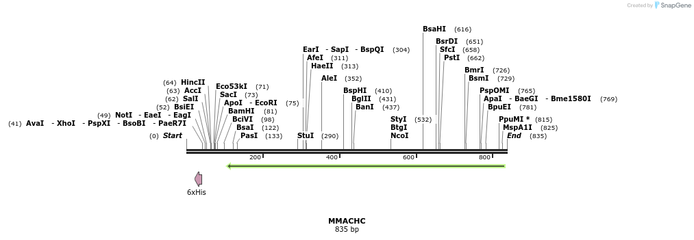 51865_map