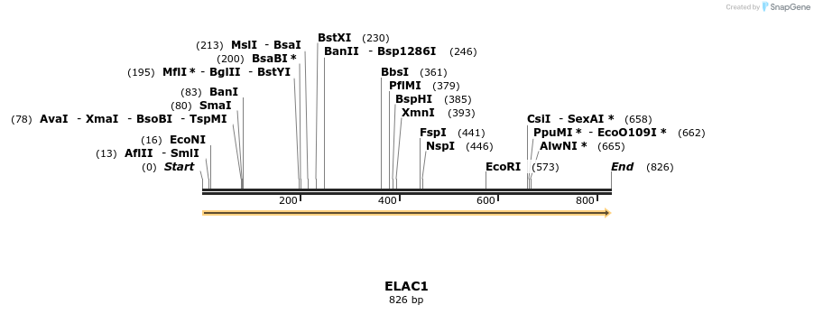 51867_map