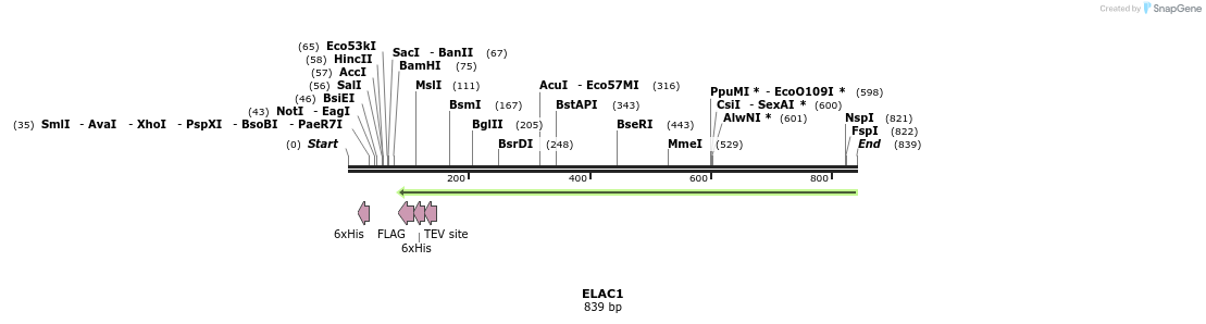 51868_map