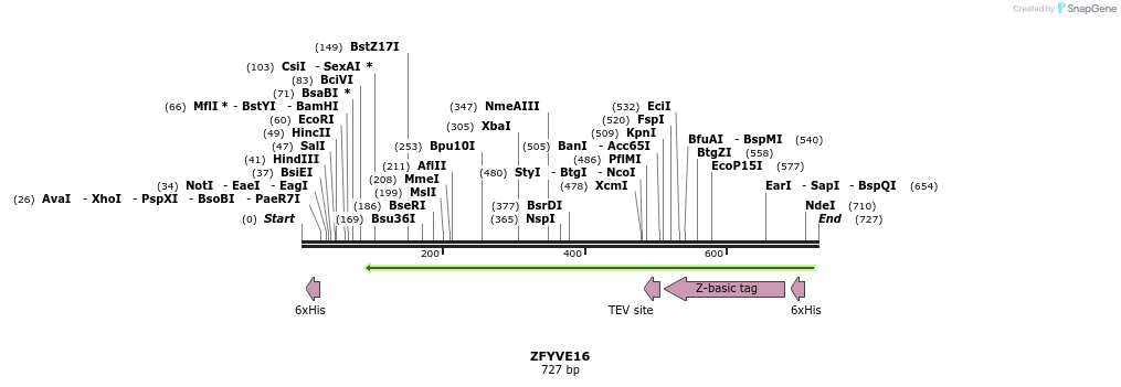 51871_map