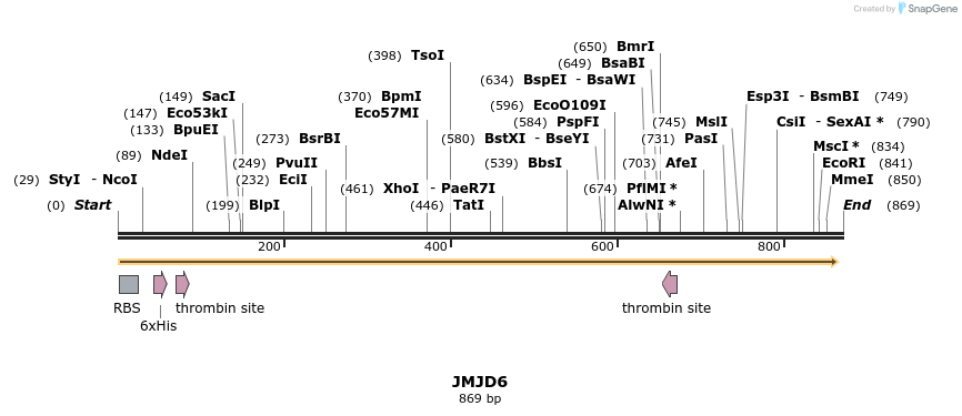 51874_map