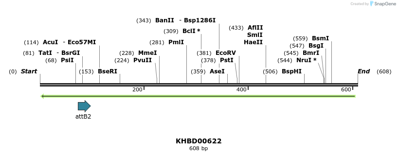 51875_map