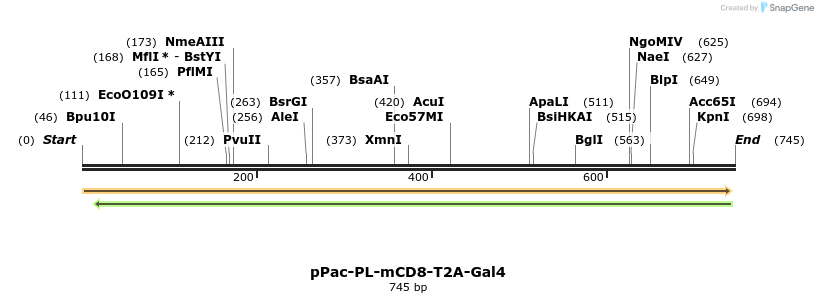 51886_map