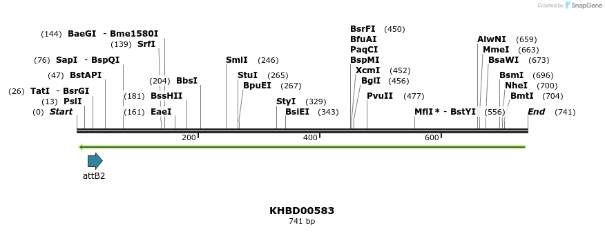 51887_map
