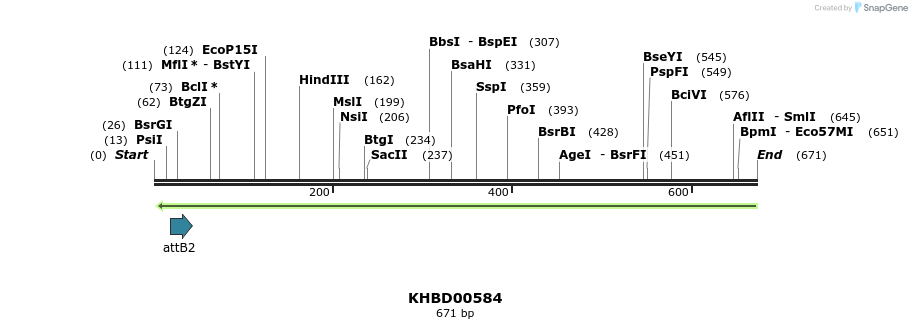 51891_map