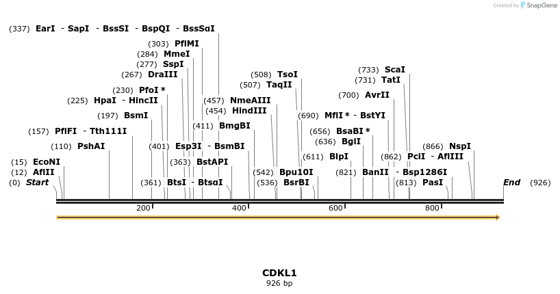 51905_map