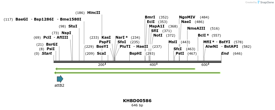 51906_map