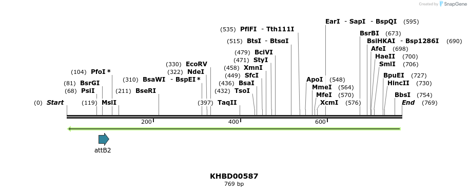 51907_map