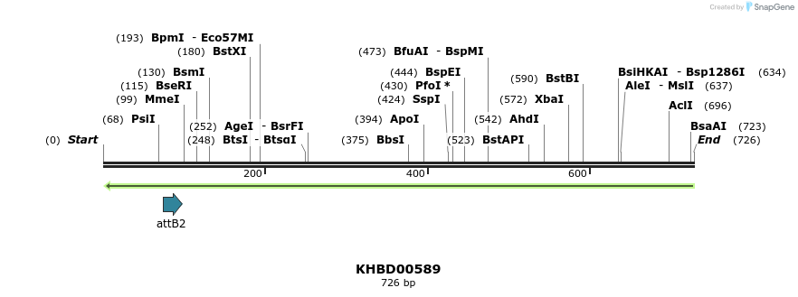 51912_map