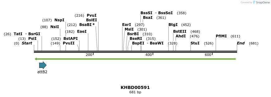 51914_map
