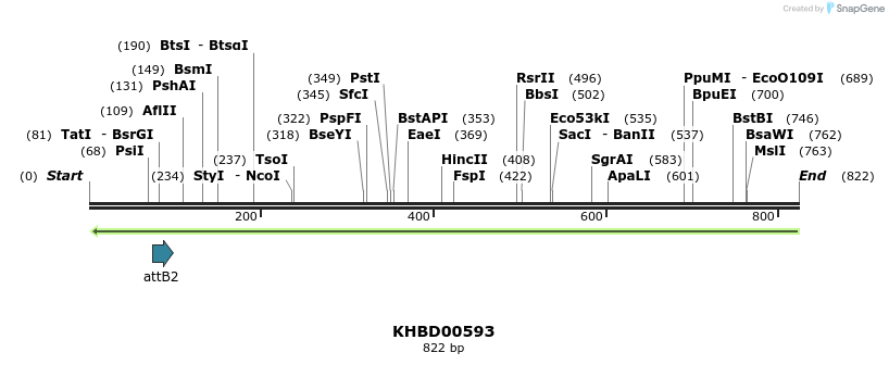 51916_map