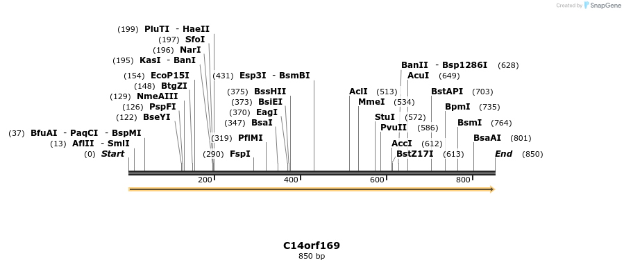 51919_map