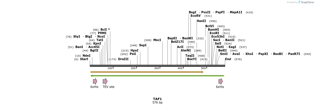 51924_map
