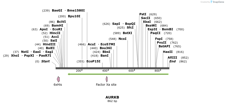 51928_map