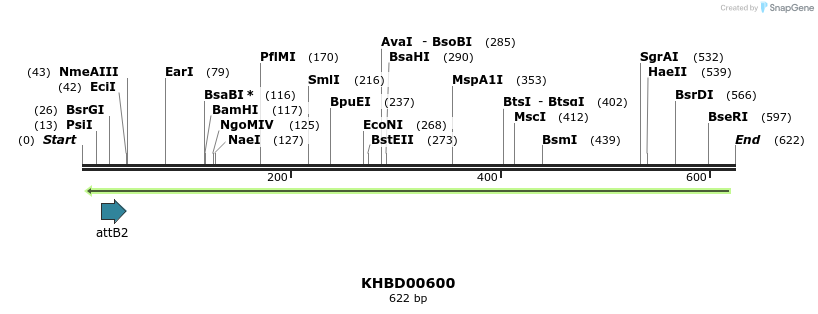 51929_map