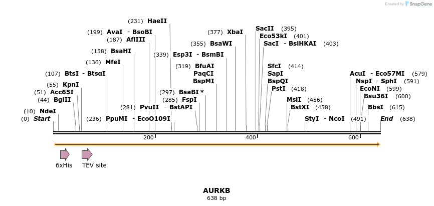 51930_map