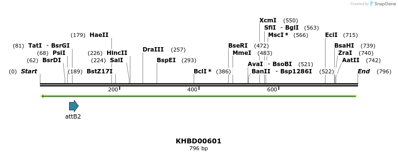 51931_map