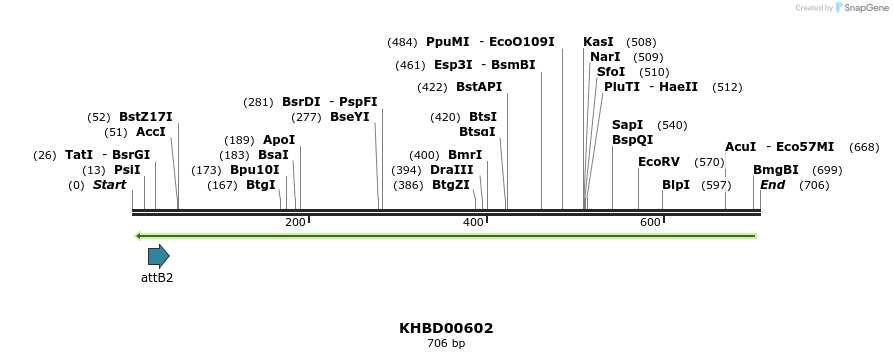 51933_map