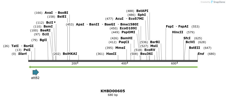 51935_map