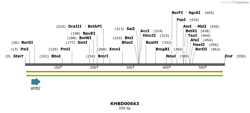 51937_map