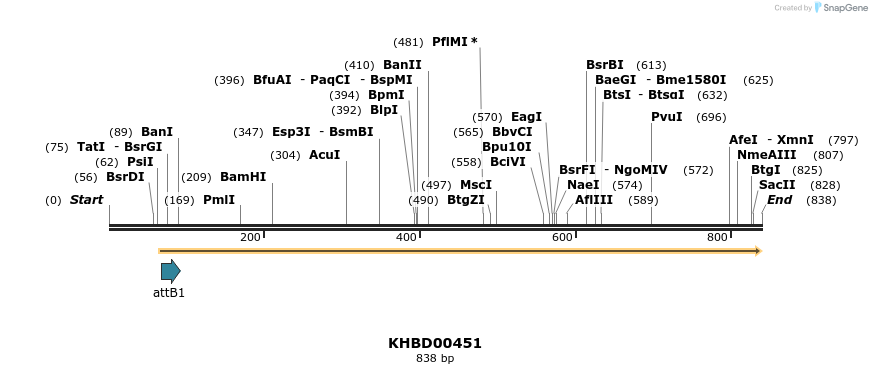 51957_map