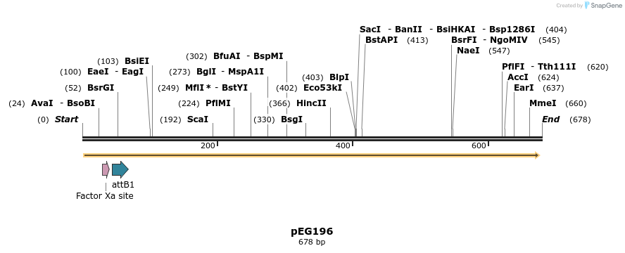 51961_map
