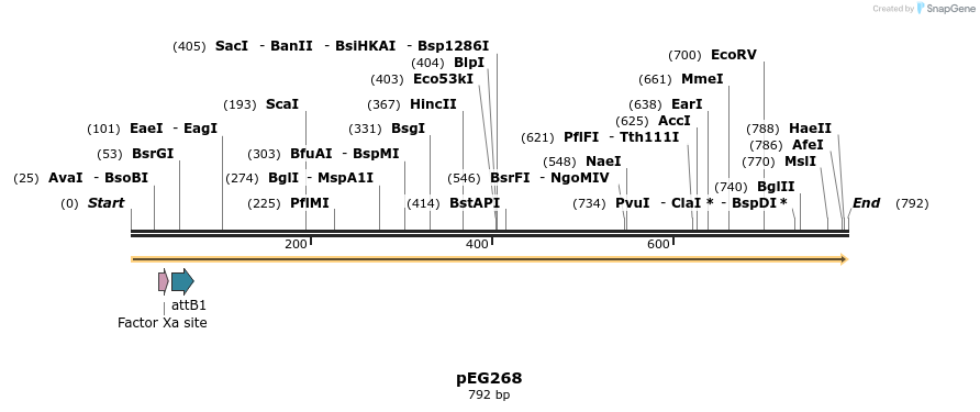 51965_map