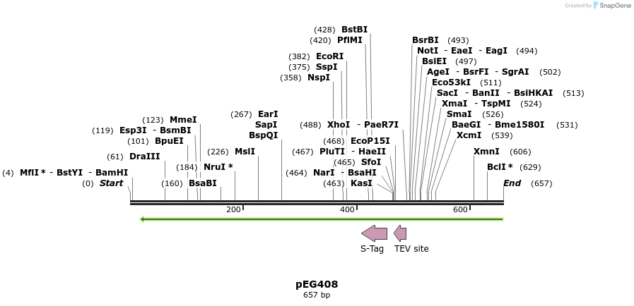 51974_map