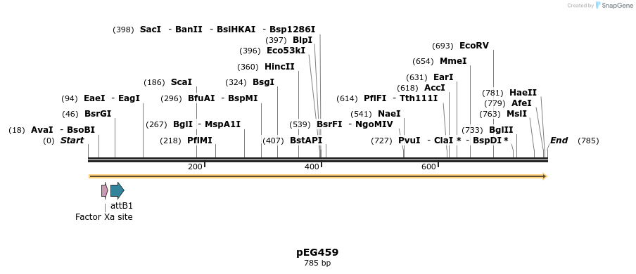 51978_map