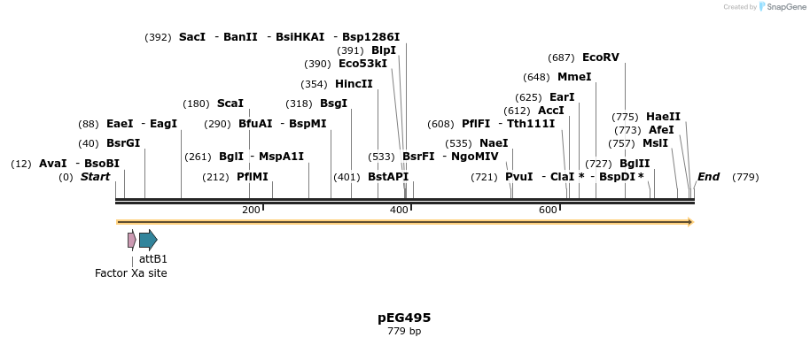 51979_map