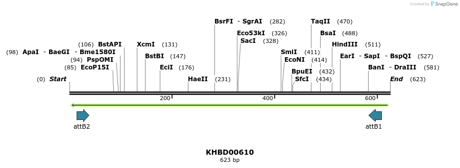 51980_map