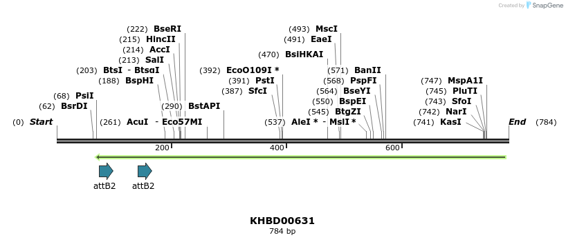 51982_map