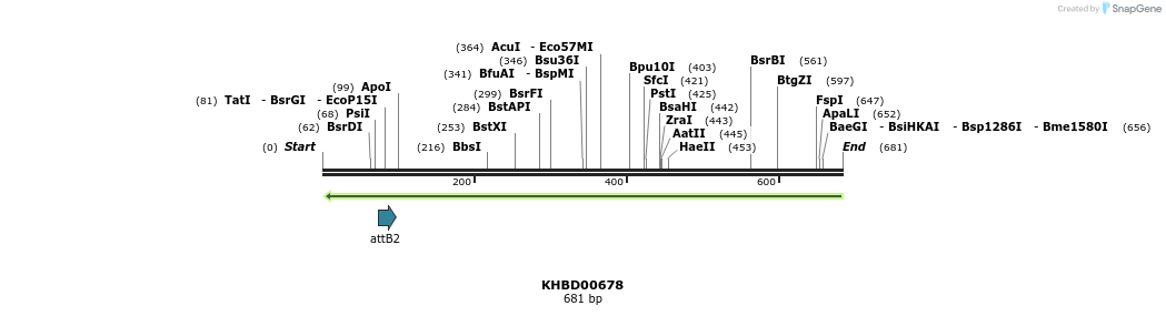 51983_map