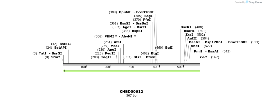 51992_map