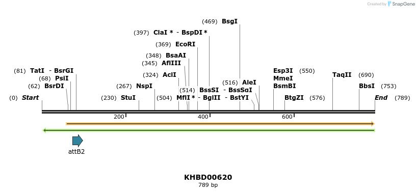 51994_map