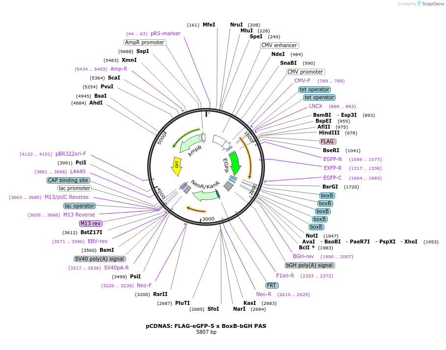 520194_map