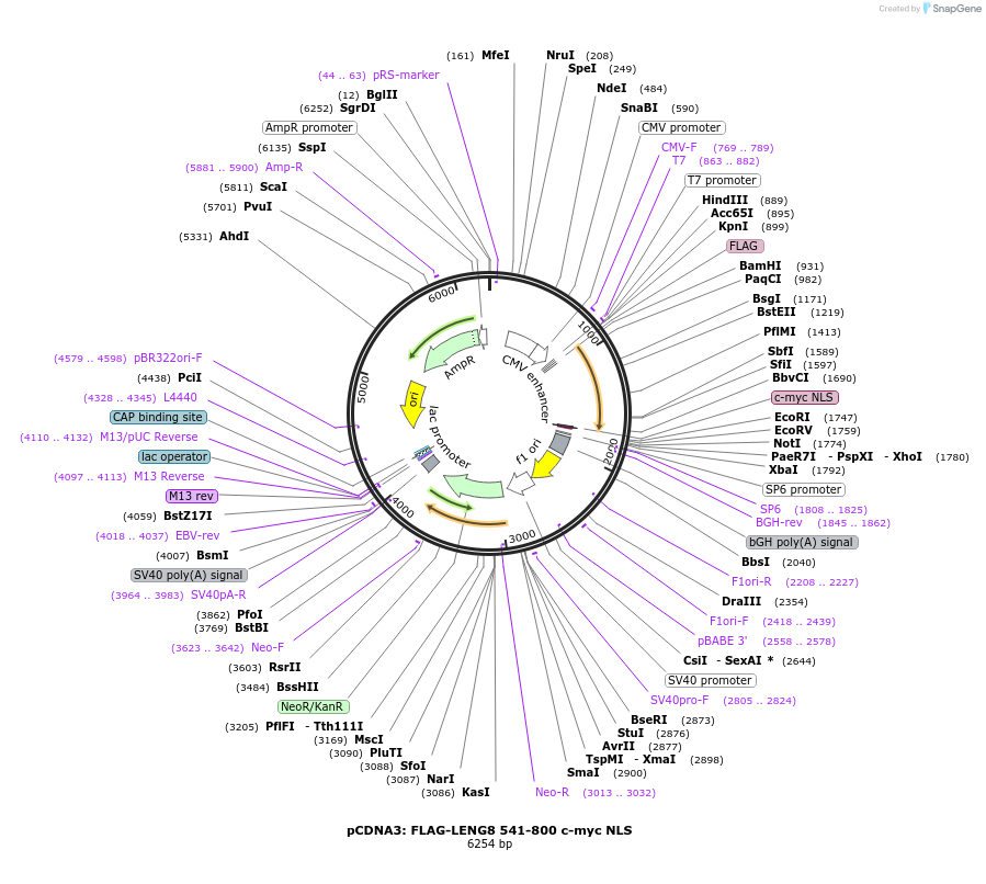 520203_map