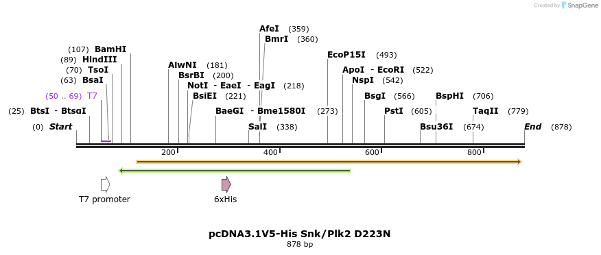 52022_map