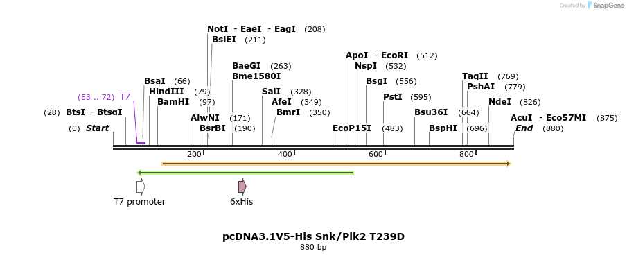52023_map