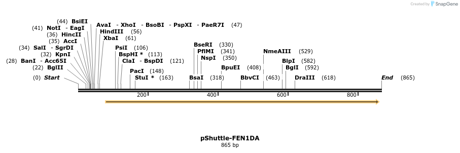 52026_map