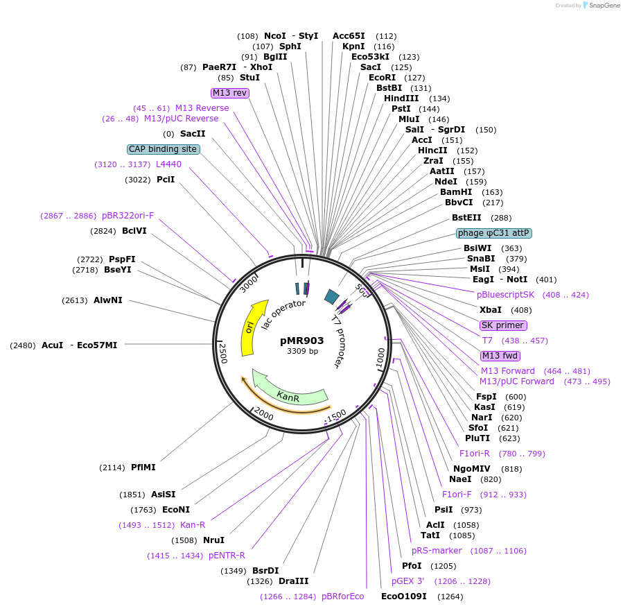 520260_map