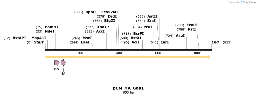 52027_map