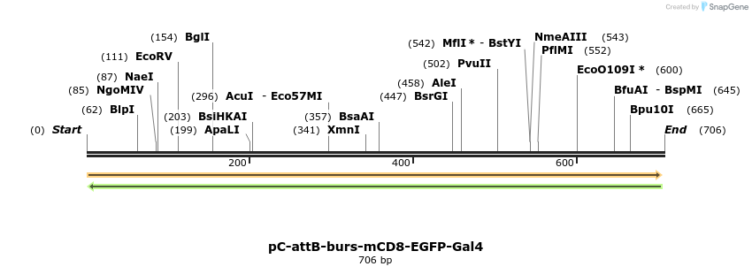 52032_map