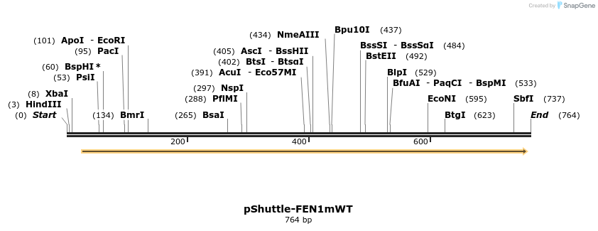 52034_map