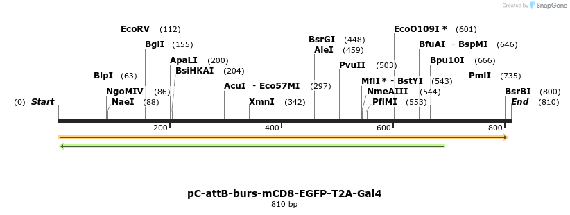 52035_map