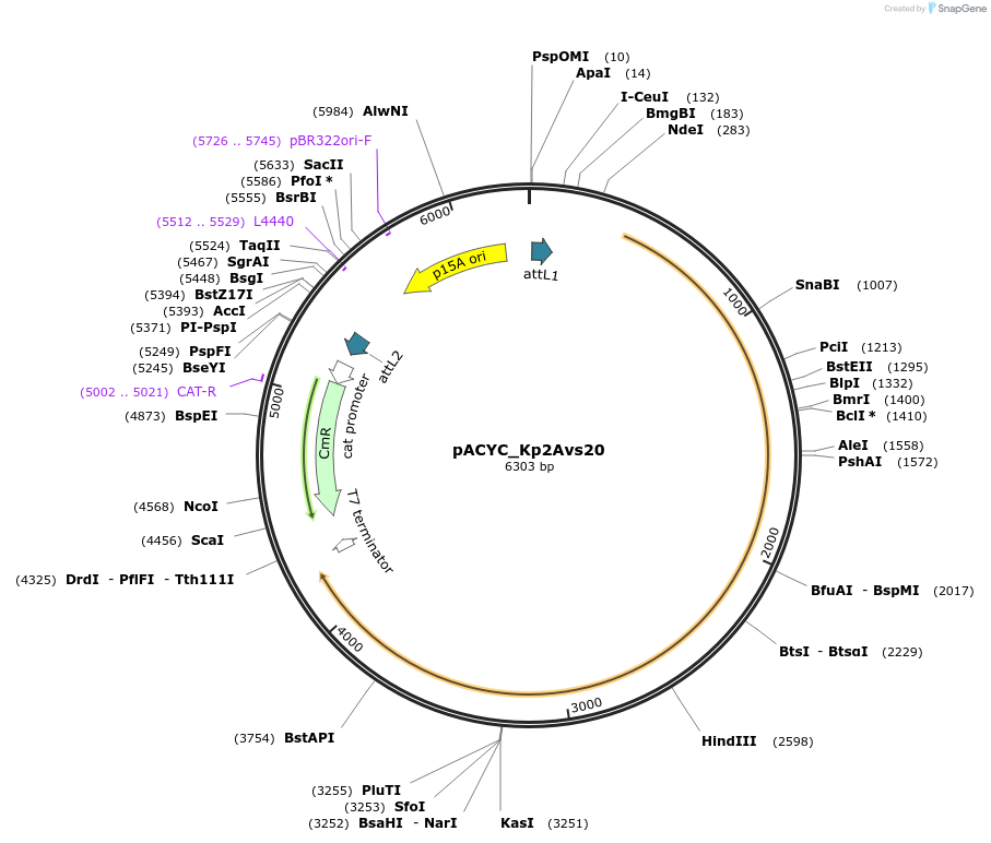 520353_map