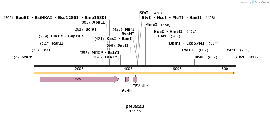 52039_map