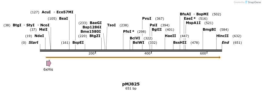 52040_map